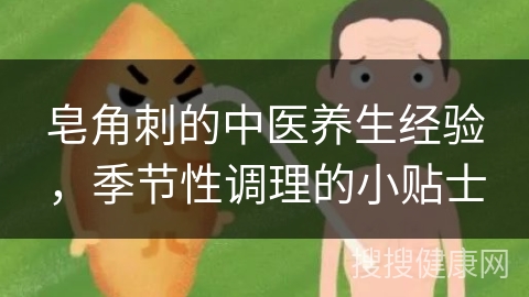 皂角刺的中医养生经验，季节性调理的小贴士