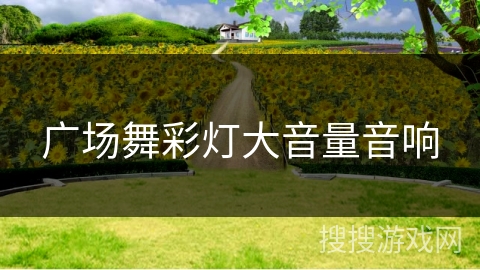 广场舞彩灯大音量音响