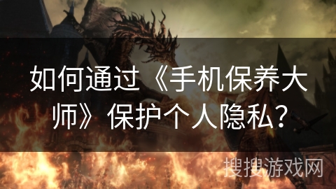 如何通过《手机保养大师》保护个人隐私？