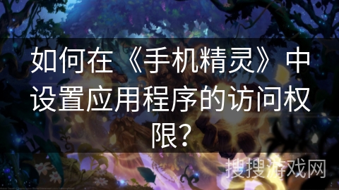 如何在《手机精灵》中设置应用程序的访问权限？