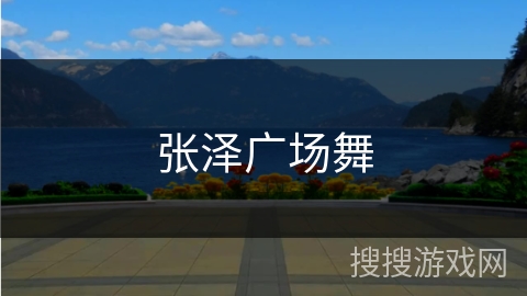 张泽广场舞 张泽广场舞