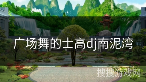 广场舞的士高dj南泥湾 广场舞的士高dj南泥湾