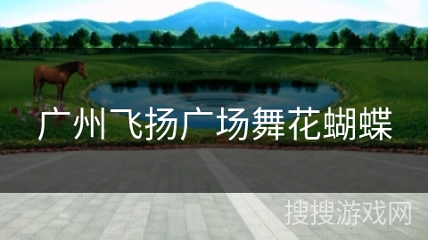 广州飞扬广场舞花蝴蝶