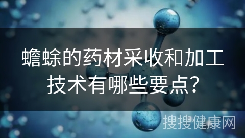 蟾蜍的药材采收和加工技术有哪些要点？