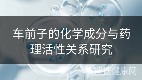 车前子的化学成分与药理活性关系研究