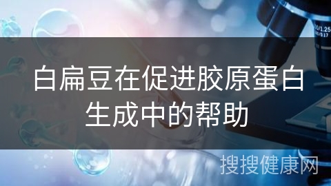 白扁豆在促进胶原蛋白生成中的帮助