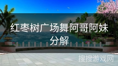 红枣树广场舞阿哥阿妹分解