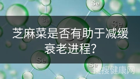 芝麻菜是否有助于减缓衰老进程？