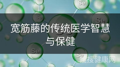 宽筋藤的传统医学智慧与保健