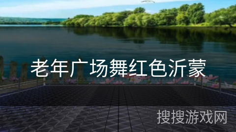 老年广场舞红色沂蒙