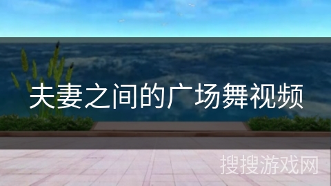 夫妻之间的广场舞视频