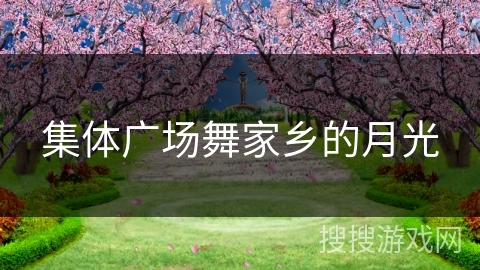 集体广场舞家乡的月光 集体广场舞家乡的月光