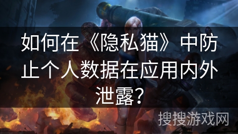 如何在《隐私猫》中防止个人数据在应用内外泄露? 如何在《隐私猫》中防止个人数据在应用内外泄露?