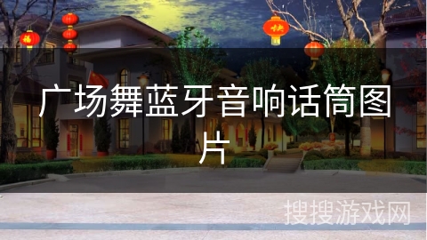 广场舞蓝牙音响话筒图片