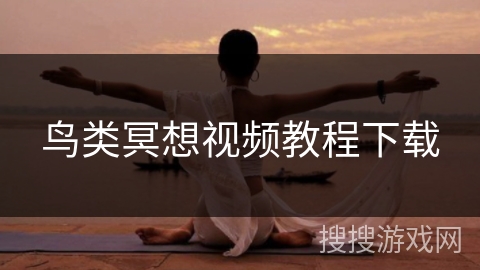 鸟类冥想视频教程下载