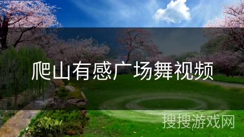 爬山有感广场舞视频