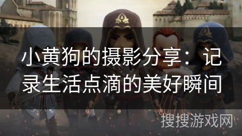 小黄狗的摄影分享：记录生活点滴的美好瞬间