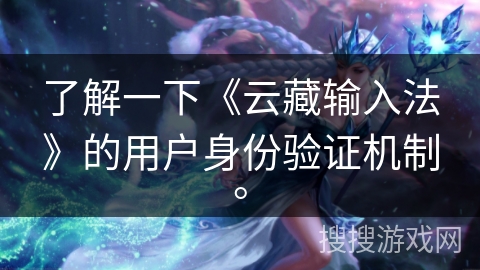 了解一下《云藏输入法》的用户身份验证机制。