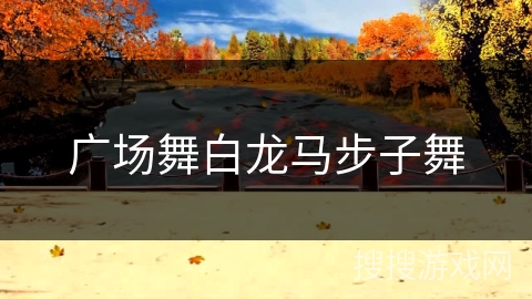 广场舞白龙马步子舞 广场舞白龙马步子舞