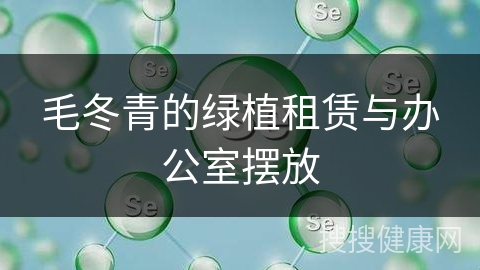 毛冬青的绿植租赁与办公室摆放