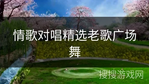 情歌对唱精选老歌广场舞