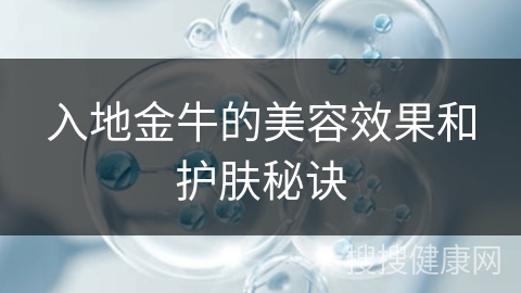 入地金牛的美容效果和护肤秘诀