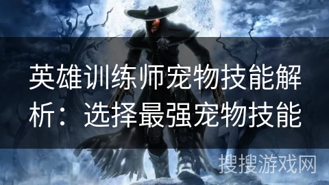 英雄训练师宠物技能解析：选择最强宠物技能