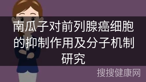 南瓜子对前列腺癌细胞的抑制作用及分子机制研究