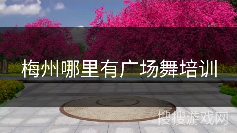 梅州哪里有广场舞培训