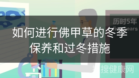 如何进行佛甲草的冬季保养和过冬措施