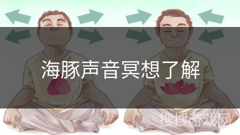 海豚声音冥想了解