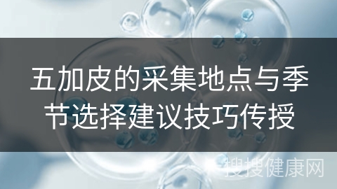 五加皮的采集地点与季节选择建议技巧传授