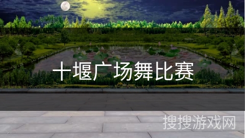 十堰广场舞比赛