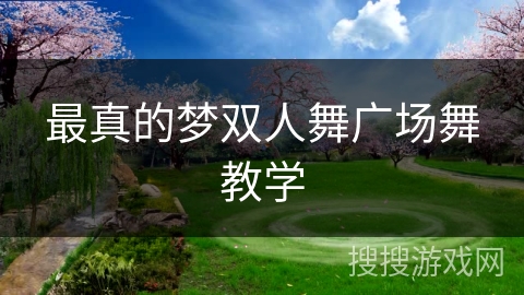 最真的梦双人舞广场舞教学