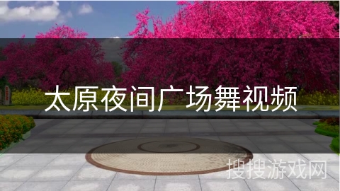 太原夜间广场舞视频 太原夜间广场舞视频