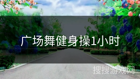 广场舞健身操1小时