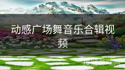 动感广场舞音乐合辑视频 动感广场舞音乐合辑视频