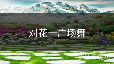 对花一广场舞