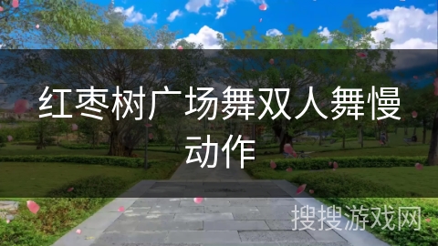 红枣树广场舞双人舞慢动作