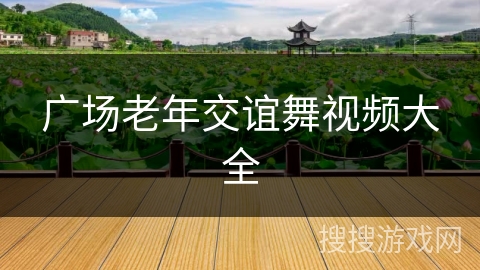 广场老年交谊舞视频大全 广场老年交谊舞视频大全