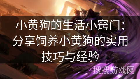 小黄狗的生活小窍门：分享饲养小黄狗的实用技巧与经验