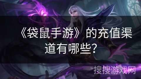 《袋鼠手游》的充值渠道有哪些？