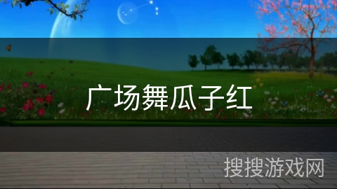 广场舞瓜子红 广场舞瓜子红