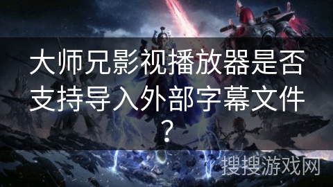 大师兄影视播放器是否支持导入外部字幕文件？