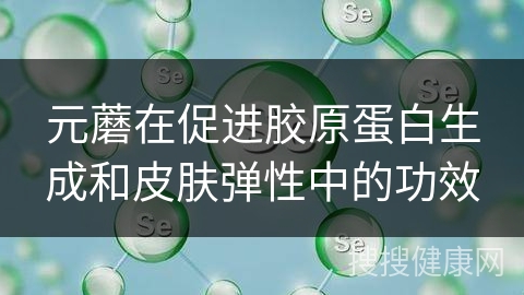 元蘑在促进胶原蛋白生成和皮肤弹性中的功效