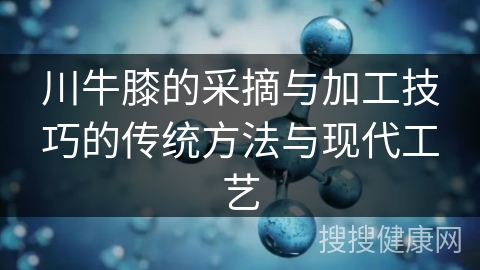 川牛膝的采摘与加工技巧的传统方法与现代工艺