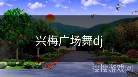 兴梅广场舞dj