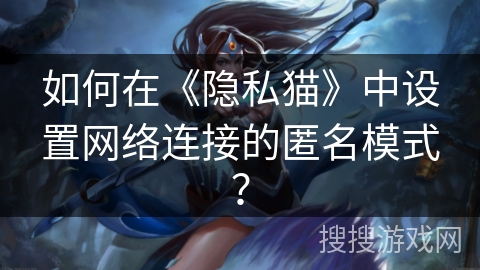如何在《隐私猫》中设置网络连接的匿名模式？
