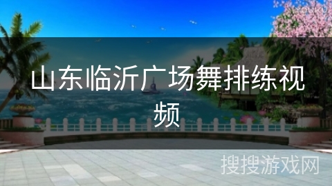 山东临沂广场舞排练视频 山东临沂广场舞排练视频