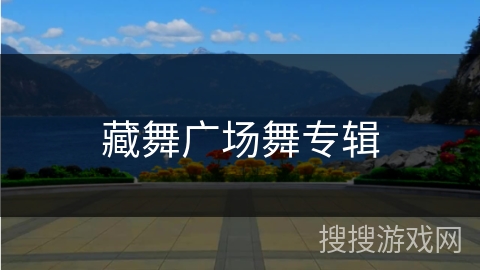 藏舞广场舞专辑